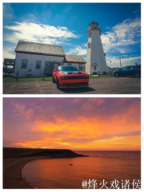 深入探寻爱情岛论坛线路一的奇妙世界