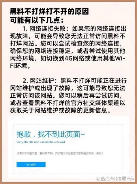 揭秘黑料网无法访问的背后原因